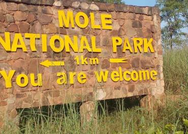 mole national park