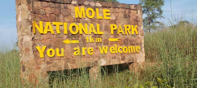 photo_2024-09-29_18-03-18 - Timeh Tours mole national park