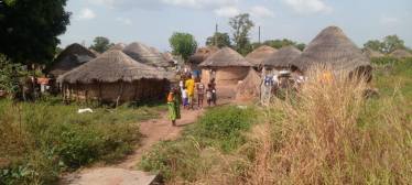 Traditional mud huts in a local community in Northern Ghana, showcasing rural village life during a cultural tour with Timeh Tours